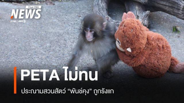 PETA ประณาม "พันช์คุง" ถูกรังแก เรียกร้องย้ายไปศูนย์ดูแลธรรมชาติ