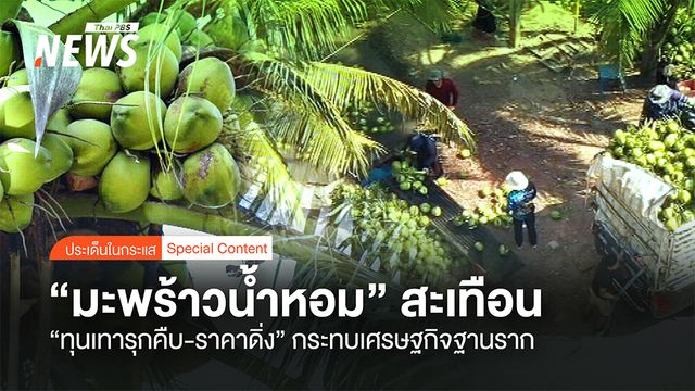"มะพร้าวน้ำหอม" สะเทือน "ทุนเทารุกคืบ-ราคาดิ่ง" กระทบเศรษฐกิจฐานราก
