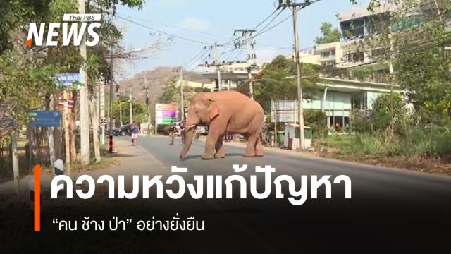 ความหวังแก้ปัญหา "คน ช้าง ป่า" อย่างยั่งยืน 