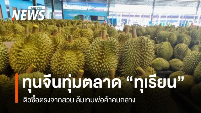 ทุนจีนทุ่มตลาด "ทุเรียน" ดิวซื้อตรงจากสวน ล้มเกมพ่อค้าคนกลาง