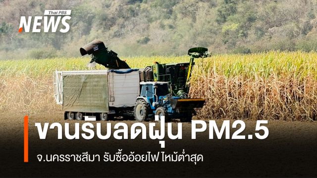 จ.นครราชสีมา ขานรับมาตรการลดฝุ่น PM2.5 รับซื้ออ้อยไฟไหม้ต่ำสุด