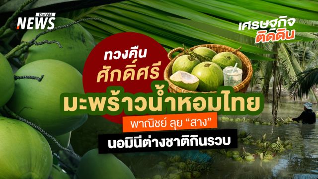 "ทวงคืนศักดิ์ศรี" มะพร้าวน้ำหอมไทย พาณิชย์ลุย "สาง" นอมินีต่างด้าวกินรวบ