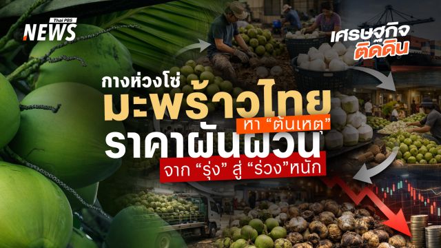  กางห่วงโซ่มะพร้าวน้ำหอมไทย หา“ต้นเหตุ” ราคาผันผวนจาก "รุ่ง" สู่ "ร่วง"หนัก