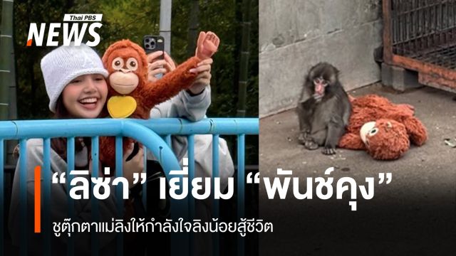 "ลิซ่า" เยี่ยม "พันช์คุง" ชูตุ๊กตาแม่ลิงให้กำลังใจลิงน้อยสู้ชีวิต