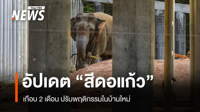 อัปเดต "สีดอแก้ว" เกือบ 2 เดือน ปรับพฤติกรรมในบ้านใหม่