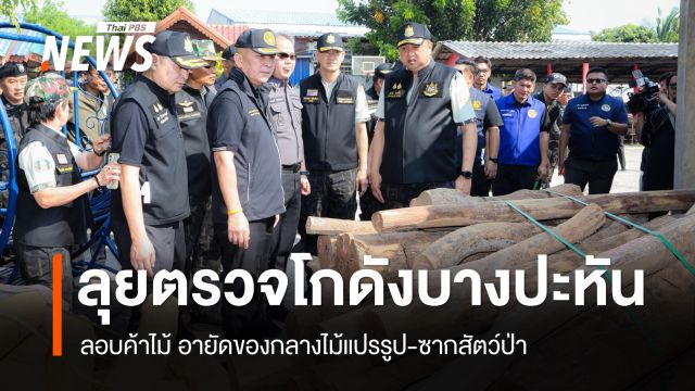 ทส.-ยธ.ลุยตรวจโกดังบางปะหัน ลอบค้าไม้ อายัดของกลางไม้แปรรูป-ซากสัตว์ป่า