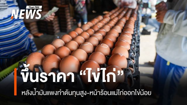 สำรวจตลาด "ไข่ไก่" ขึ้นราคาฟองละ 20 สต. ขยับแผงละ 6 บาท