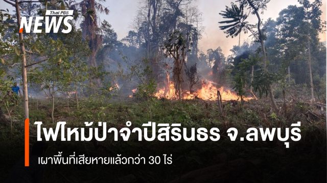 ไฟไหม้ "ป่าจำปีสิรินธร" จ.ลพบุรี เผาพื้นที่เสียหายแล้วกว่า 30 ไร่  
