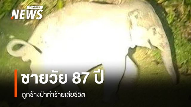 ชายวัย 87 ปี ถูกช้างป่าทำร้ายเสียชีวิต พื้นที่ จ.นครนายก