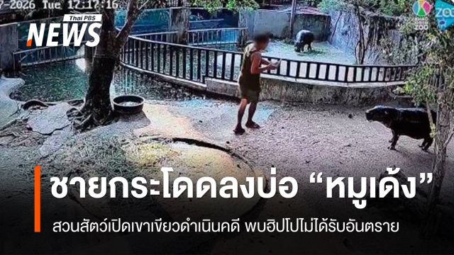 คุมตัวส่งตำรวจแล้ว ชายลอบกระโดดลงบ่อ "หมูเด้ง" สวนสัตว์เปิดเขาเขียว 