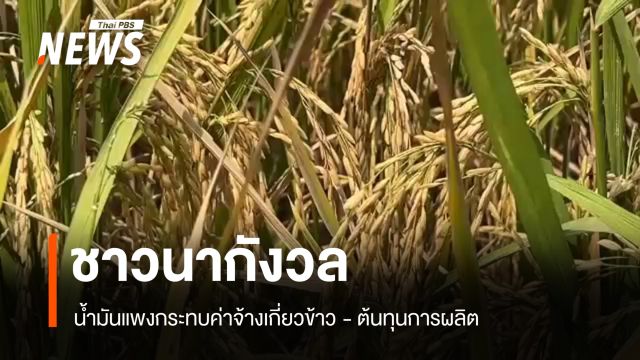 ชาวนากังวลน้ำมันแพงกระทบค่าจ้างเกี่ยวข้าว-ต้นทุนการผลิต 