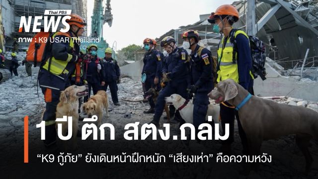 1 ปีตึก สตง.ถล่ม “K9 สี่ขากู้ภัย“ ยังเดินหน้าฝึกหนัก “เสียงเห่า” คือความหวังแห่งชีวิต