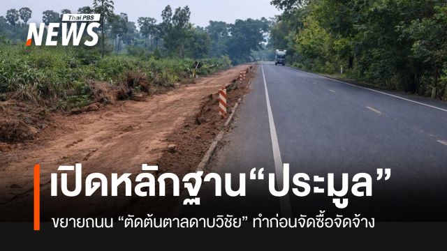 เปิดหลักฐานประมูลสร้างถนน ตัด “ต้นตาลดาบวิชัย” ผู้รับเหมาทำ ก่อนประกาศ “จัดซื้อจัดจ้าง”