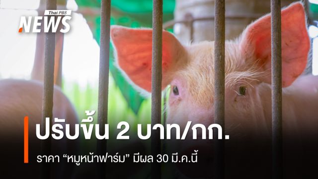 ราคา "หมูหน้าฟาร์ม" ​ปรับขึ้น 2 บาท/กก. มีผล 30 มี.ค.นี้