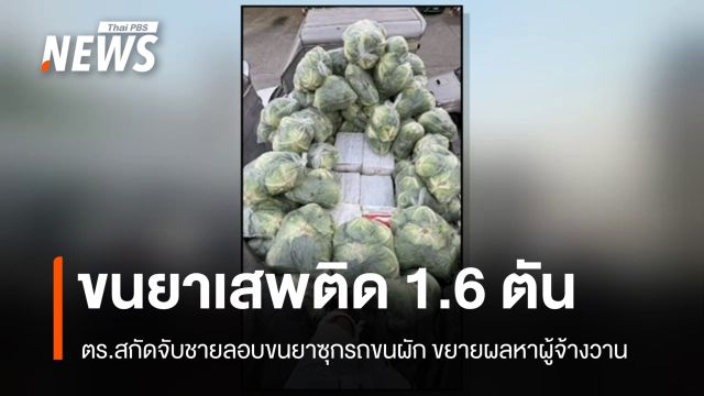 รวบตัวชายขนยาเสพติด 1.6 ตัน ซุกรถขนผัก ขยายผลหาผู้จ้างวาน