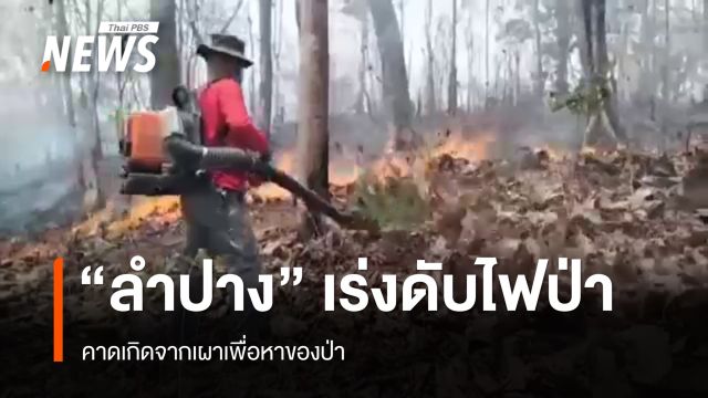 "ลำปาง" เร่งดับไฟป่า คาดเผาเพื่อหาของป่า 