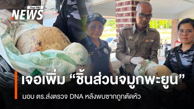 เจอเพิ่ม "ชิ้นส่วนจมูกพะยูน" มอบ ตร.ส่งตรวจ DNA 