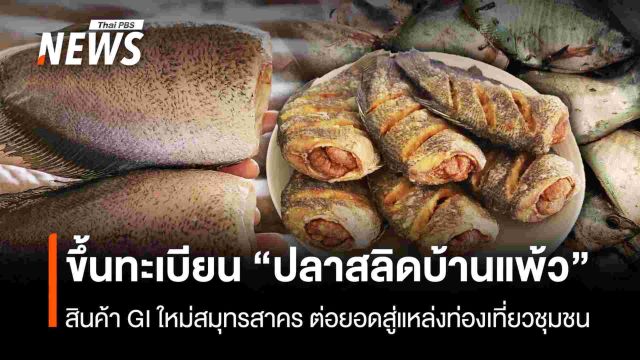 ขึ้นทะเบียน “ปลาสลิดบ้านแพ้ว”  สินค้า GI ใหม่สมุทรสาคร ต่อยอดสู่แหล่งท่องเที่ยวชุมชน