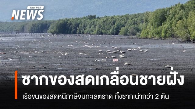 เรือขนของสดหนีภาษีจมทะเลตราด ทิ้งซากเน่ากว่า 2 ตัน