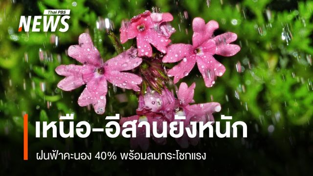 สภาพอากาศวันนี้ เหนือ-อีสานยังหนัก! ฝนฟ้าคะนอง 40% พร้อมลมกระโชกแรง