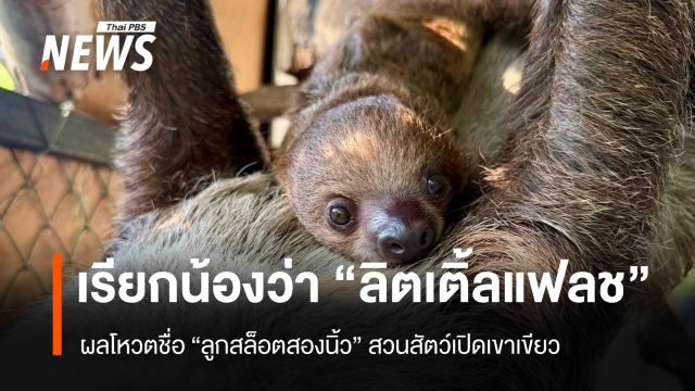 เปิดผลโหวตสูงสุด "ลิตเติ้ลแฟลช" ชื่อลูกสล็อตสองนิ้ว สวนสัตว์เปิดเขาเขียว