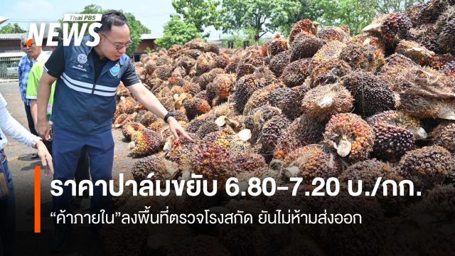 ราคาปาล์ม ขยับแล้ว 6.80-7.20 บ./กก. “ค้าภายใน” ลงพื้นที่ตรวจโรงสกัด ยันไม่ห้ามส่งออก