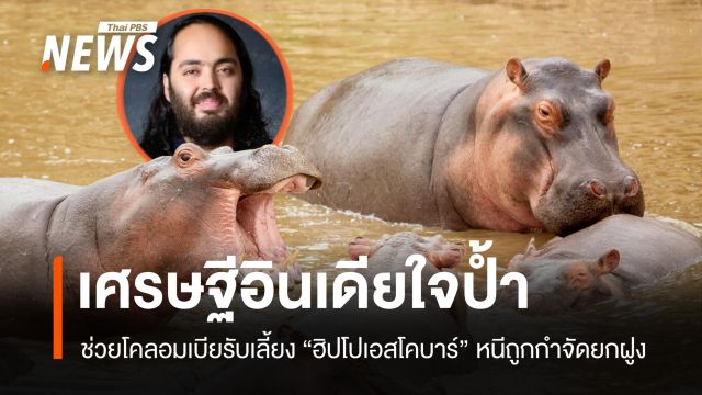 มหาเศรษฐีอินเดีย ยื่นมือช่วยโคลอมเบีย รับ "ฮิปโปเอสโคบาร์" ไปดูแล