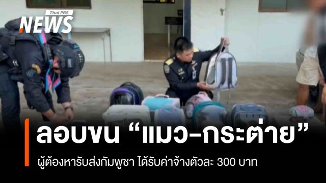 สกัดจับลักลอบขน "แมว-กระต่าย" ข้ามชายแดนไปกัมพูชา