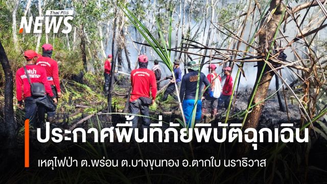 ผู้ว่าฯ นราธิวาส ประกาศพื้นที่ภัยพิบัติฉุกเฉิน ไฟป่า ต.พร่อน ต.บางขุนทอง