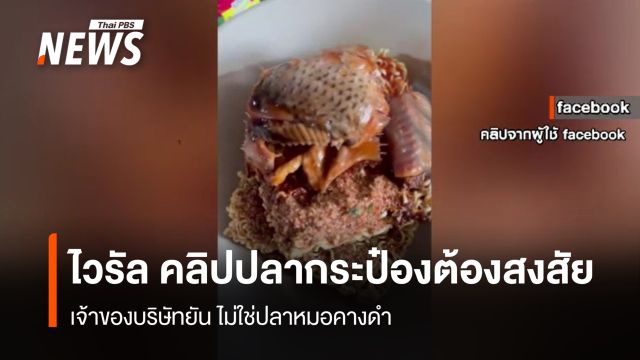 ไวรัล คลิปปลากระป๋องต้องสงสัย เจ้าของบริษัทยัน ไม่ใช่ปลาหมอคางดำ