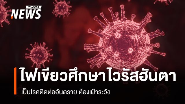 คกก.โรคติดต่อฯ เห็นชอบศึกษา "โรคไวรัสฮันตา" เป็นโรคติดต่ออันตราย