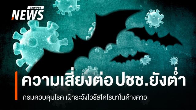 กรมควบคุมโรค เฝ้าระวังไวรัสโคโรนาในค้างคาว ยันความเสี่ยงต่อ ปชช.ยังต่ำ