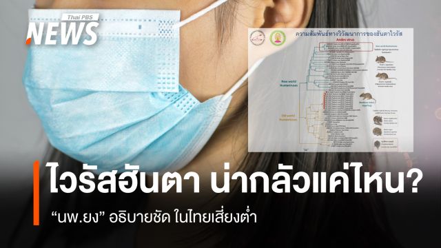 "นพ.ยง" อธิบายชัด "ไวรัสฮันตา" น่ากลัวแค่ไหน? ไทยเสี่ยงต่ำ