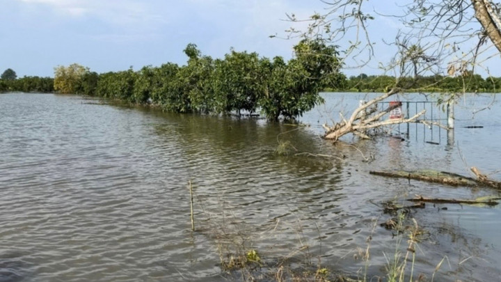 Chachoengsao floods threaten key agricultural produce