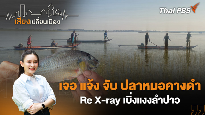 เจอ แจ้ง จับ ปลาหมอคางดำ Re X-ray เบิ่งแงงลำปาว