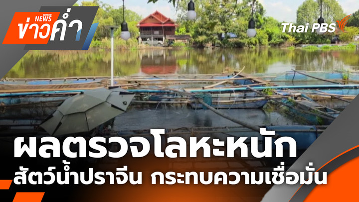 ผลตรวจโลหะหนักสัตว์น้ำปราจีน กระทบความเชื่อมั่น