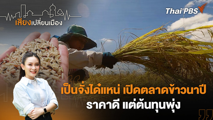 เป็นจั่งได๋แหน่ เปิดตลาดข้าวนาปี ราคาดี แต่ต้นทุนพุ่ง