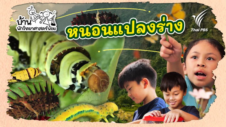 หนอนแปลงร่าง