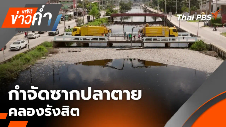 กำจัดซากปลาตาย คลองรังสิต