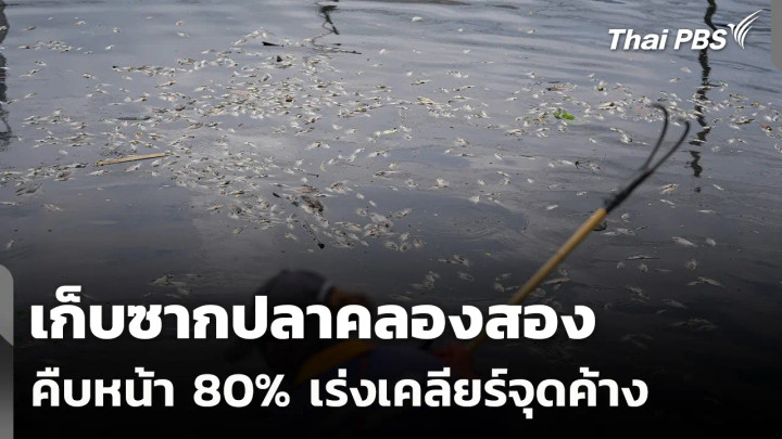 เก็บซากปลาคลองสองคืบหน้า 80 เร่งเคลียร์จุดค้าง