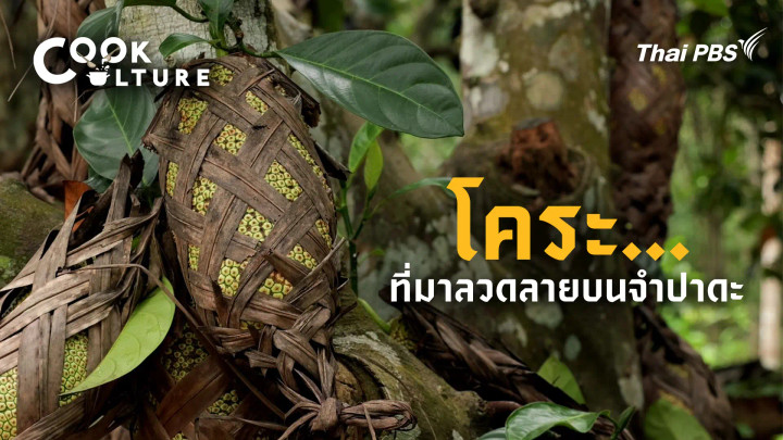 โคระ จำปาดะ