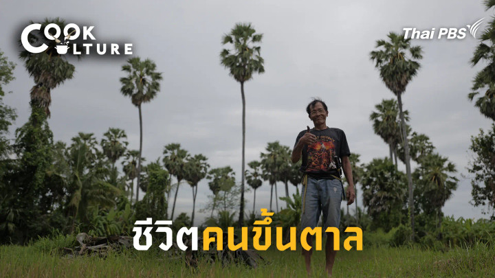ชีวิตคนขึ้นตาล
