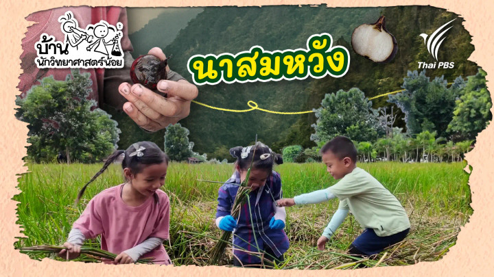 นาสมหวัง