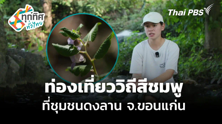 ท่องเที่ยววิถีสีชมพู จ.ขอนแก่น