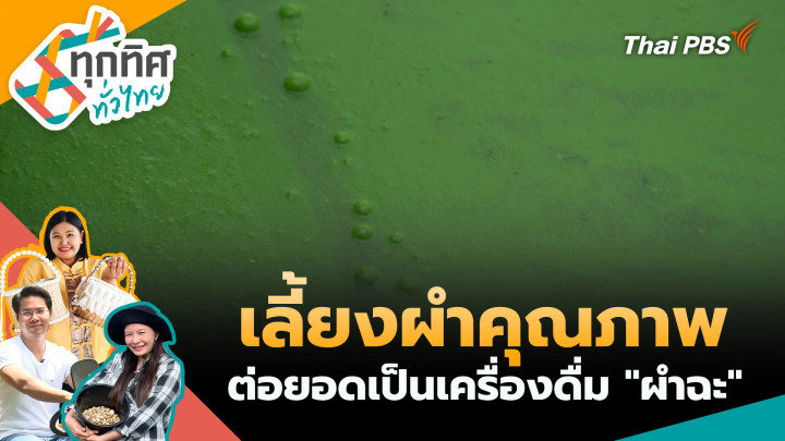 เลี้ยงผำคุณภาพ ต่อยอดเป็นเครื่องดื่ม "ผำฉะ"