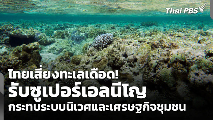 ไทยเสี่ยงทะเลเดือด! รับซูเปอร์เอลนีโญ กระทบระบบนิเวศและเศรษฐกิจชุมชน