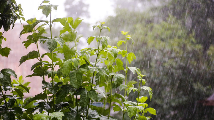 สภาพอากาศวันนี้ ภาคกลาง-ตะวันออก-ใต้ ยังมีฝนหนัก 18-25 ต.ค. ฝนหนักหลายพื้นที่