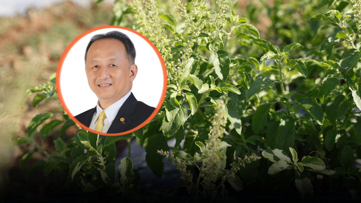 CPRAM ไขปมสิทธิกะเพรา ยันพัฒนาป้อนโรงงาน ไม่ได้มุ่งขายเมล็ดพันธุ์