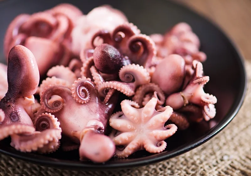 ปลาหมึกสาย (Octopus)