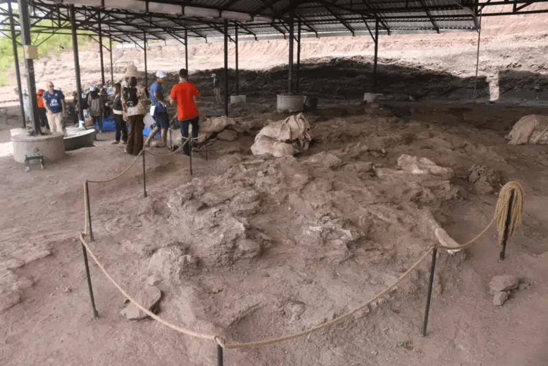 Excursion at Phukumkhao Dinosaur Museum, also known as, Sirindhorn Museum, in Kalasin province (Photo : Locals Thai PBS)